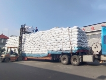 把握機遇、鉚足干勁、承勢而上